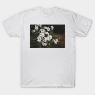 White Viburnum Flowers in Springtime T-Shirt